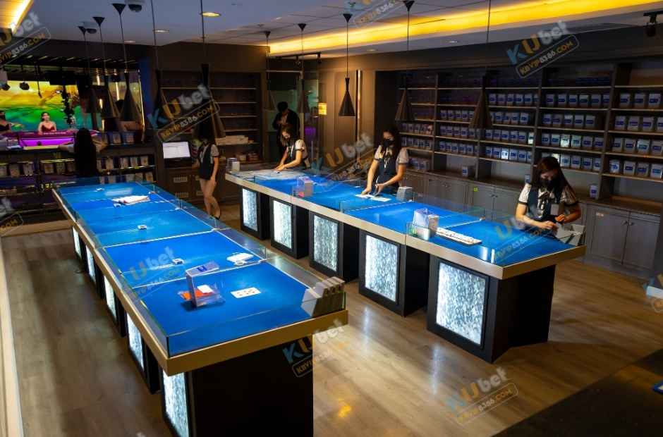 Hiệp hội cờ bạc quốc tế đang kiểm tra các thiết bị trước khi đưa vào sử dụng
