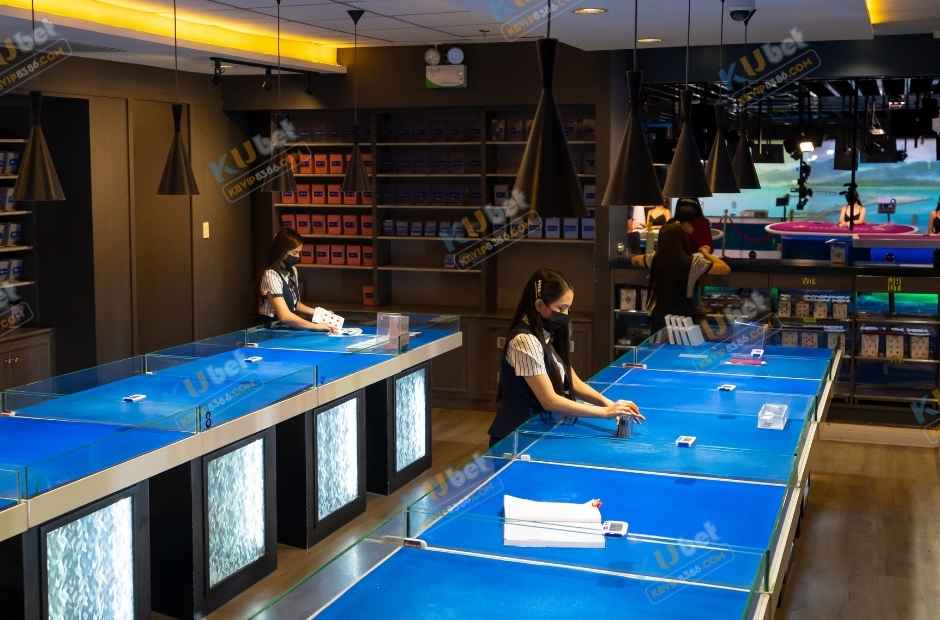 Tổ chức hiệp hội cờ bạc quốc tế đang kiểm tra dụng cụ trước khi sử dụng