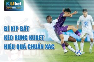 Bí kíp bắt kèo rung kubet hiệu quả chuẩn xác